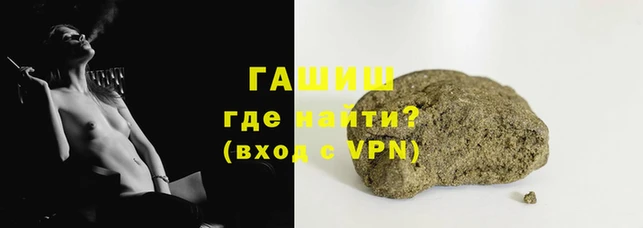 мяу мяу мука Горно-Алтайск