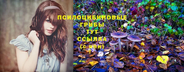 таблы Надым