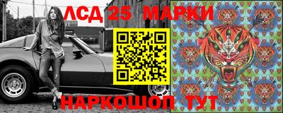 крисы Апшеронск