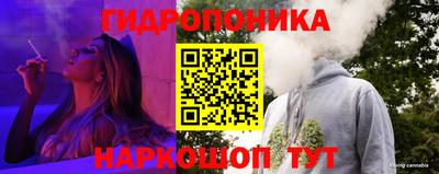 крисы Апшеронск