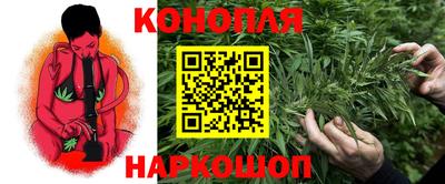 крисы Апшеронск