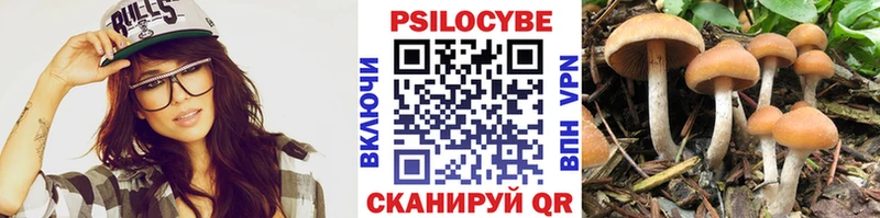 Псилоцибиновые грибы Magic Shrooms  OMG ONION  Костомукша  магазин  наркотиков 